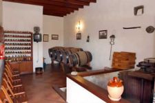 casa-adela-lanzarote-villa-rentals19