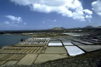 Salinas de Janubio