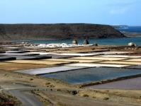 Salinas Janubio_4