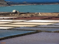 Salinas Janubio_5
