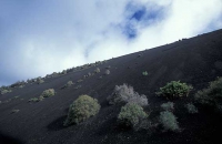 Timanfaya_11