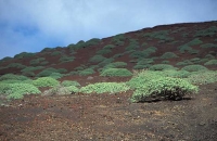 Timanfaya_14